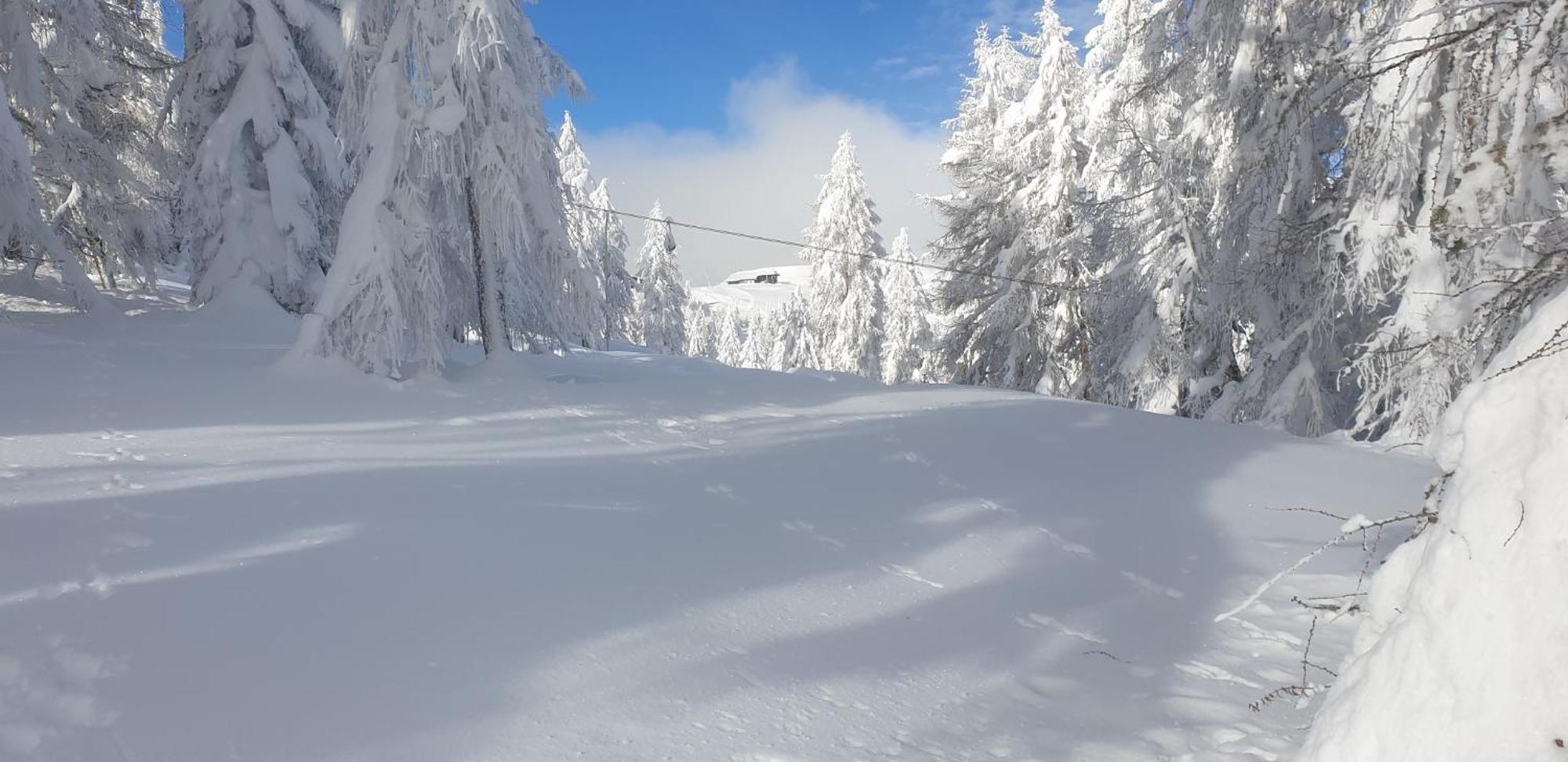 Hotel Sonnenheim Bad Kleinkirchheim Eksteriør billede