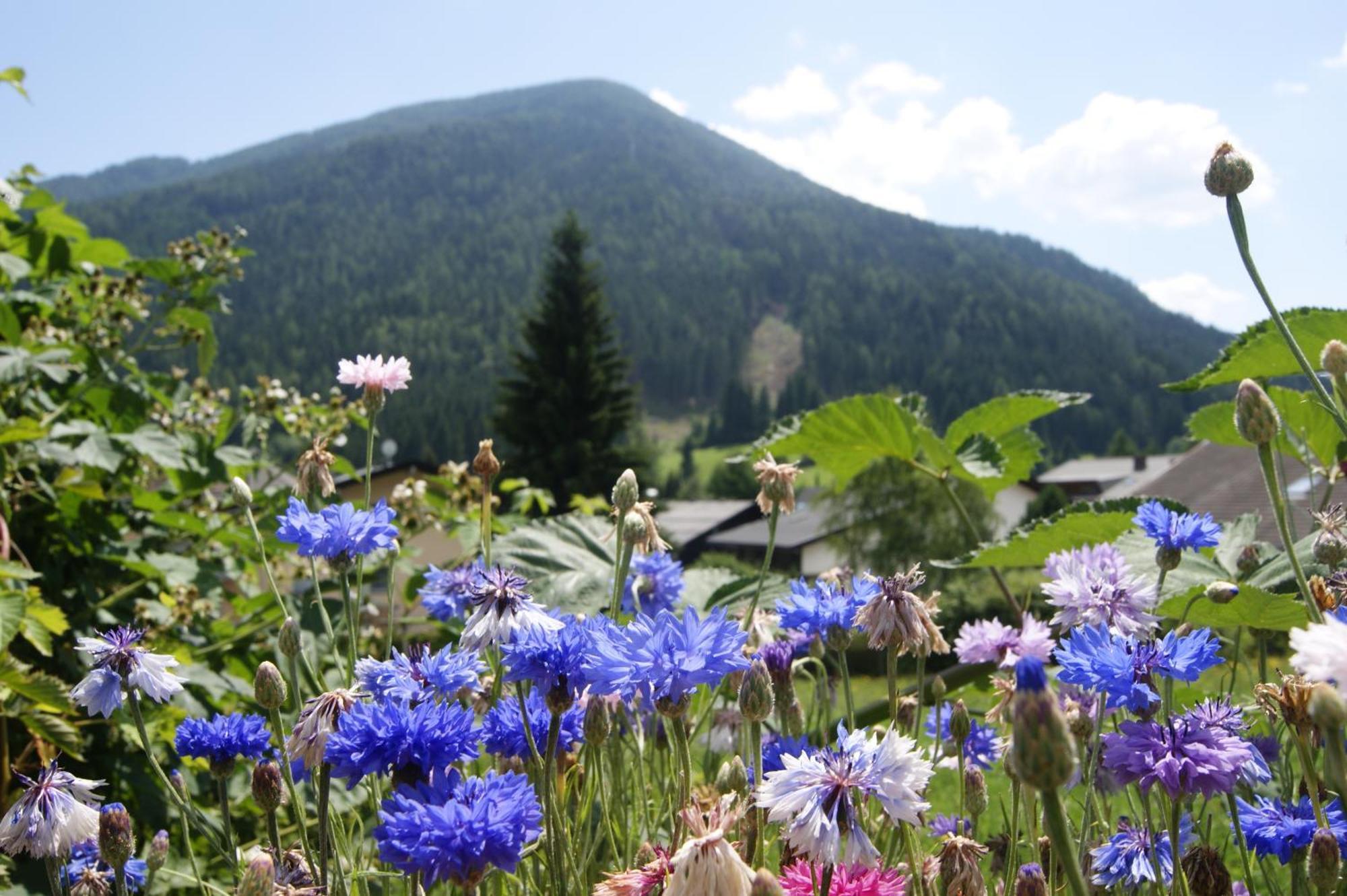 Hotel Sonnenheim Bad Kleinkirchheim Eksteriør billede